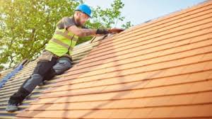 Best Roof Moss and Algae Removal  in Sewanee, TN