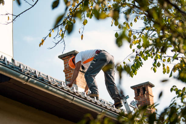 Best Chimney Flashing Repair  in Sewanee, TN